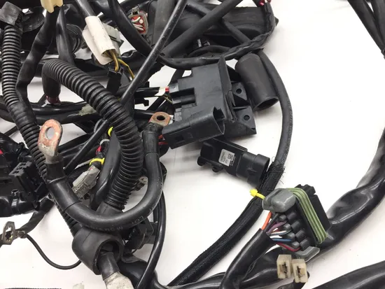 Main Engine Wiring Harness 2000 Harley Electra Glide Ultra Classic FLHTCUI 3324