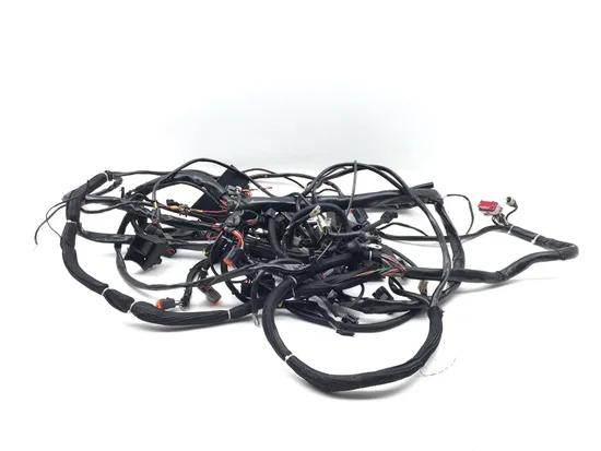 Main Engine Wiring Harness 2000 Harley Electra Glide Ultra Classic FLHTCUI 3324