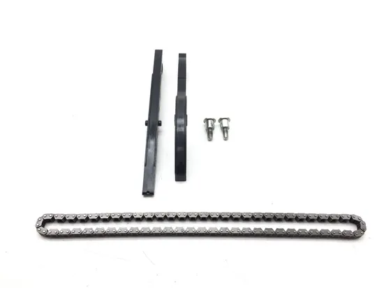 Engine Timing Chain and Guides 2007 Suzuki GSXR600 3331