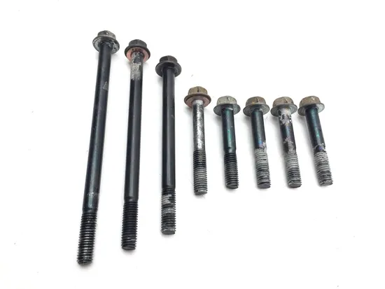 Engine Center Cases Case Bolts 2001 Arctic Cat 500 4x4 Automatic 3337