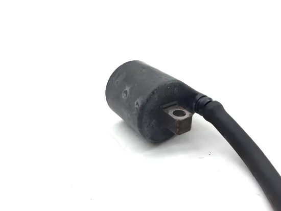 Ignition Coil 2001 Arctic Cat 500 4x4 Automatic 3337 4