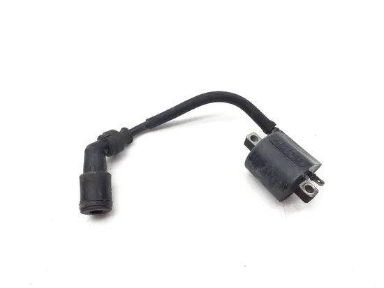 Ignition Coil 2001 Arctic Cat 500 4x4 Automatic 3337 6