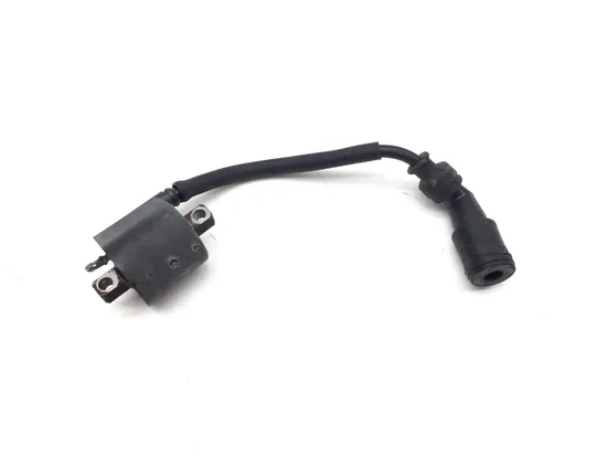 Ignition Coil 2001 Arctic Cat 500 4x4 Automatic 3337