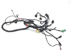 Main Engine Wiring Harness 2001 Arctic Cat 500 4x4 Automatic 3337