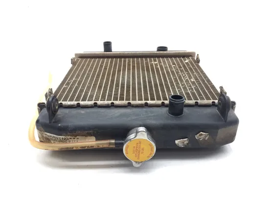 Engine Radiator Cooling 2001 Arctic Cat 500 4x4 Automatic 3337