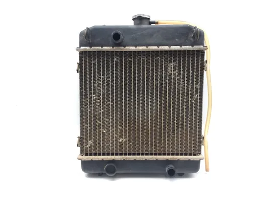 Engine Radiator Cooling 2001 Arctic Cat 500 4x4 Automatic 3337