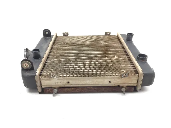 Engine Radiator Cooling 2001 Arctic Cat 500 4x4 Automatic 3337