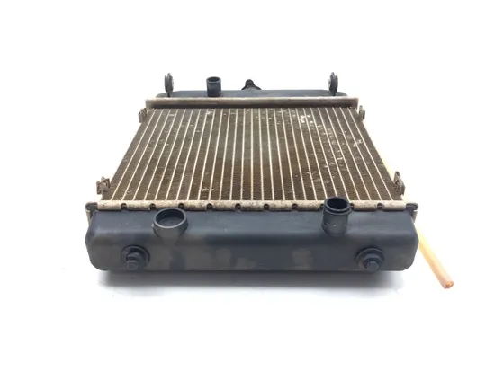 Engine Radiator Cooling 2001 Arctic Cat 500 4x4 Automatic 3337