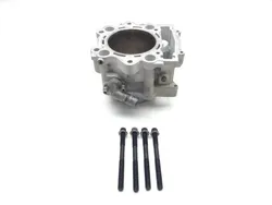 Engine Cylinder Jug 2018 Yamaha Viking 700 YXM700P 4x4 FI EPS 3340 x