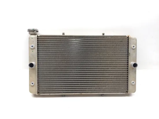 Engine Radiator Cooling 2018 Yamaha Viking 700 YXM700P 4x4 FI EPS 3340