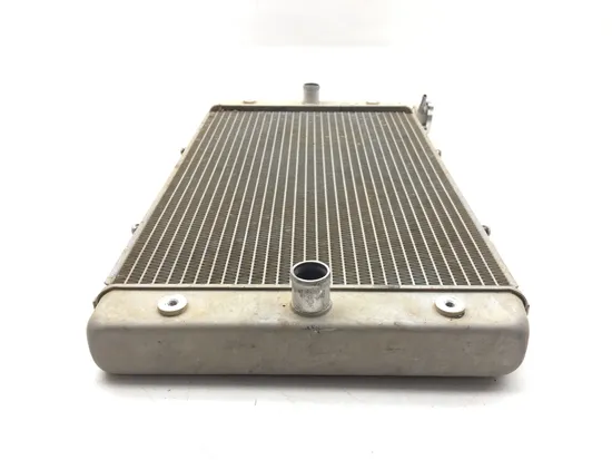 Engine Radiator Cooling 2018 Yamaha Viking 700 YXM700P 4x4 FI EPS 3340