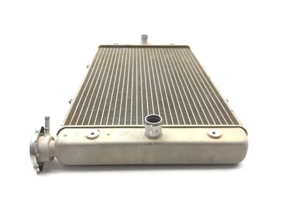 Engine Radiator Cooling 2018 Yamaha Viking 700 YXM700P 4x4 FI EPS 3340