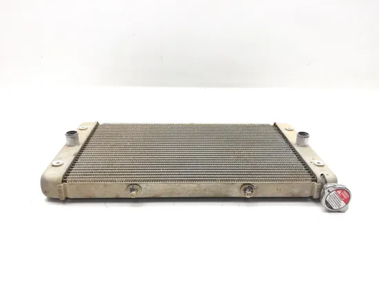 Engine Radiator Cooling 2018 Yamaha Viking 700 YXM700P 4x4 FI EPS 3340