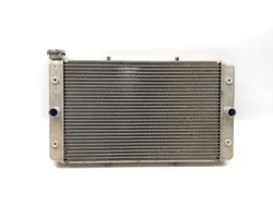Engine Radiator Cooling 2018 Yamaha Viking 700 YXM700P 4x4 FI EPS 3340