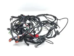 Main Engine Wiring Harness 2018 Yamaha Viking 700 YXM700P 4x4 FI EPS 3340
