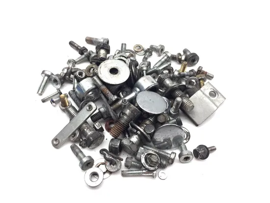 Misc Bolt Kit 1999 Harley-Davidson Road King Classic EFI FLHRCI 3333