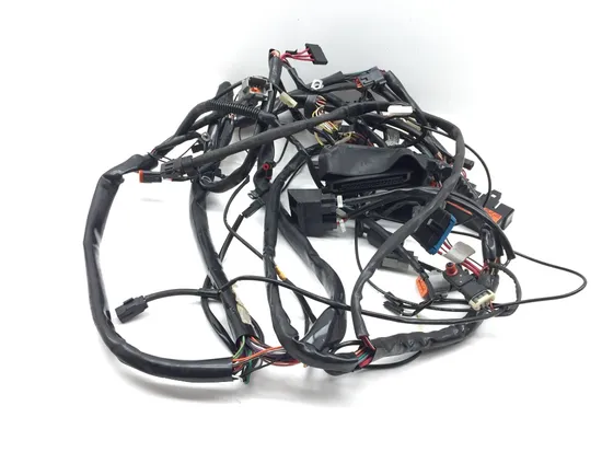 Main Engine Wiring Harness 1999 Harley Road King Classic EFI FLHRCI 3333