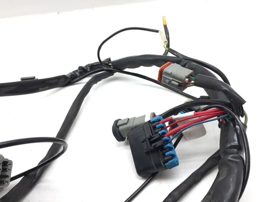 Main Engine Wiring Harness 1999 Harley Road King Classic EFI FLHRCI 3333