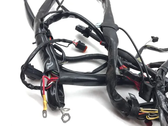Main Engine Wiring Harness 1999 Harley Road King Classic EFI FLHRCI 3333