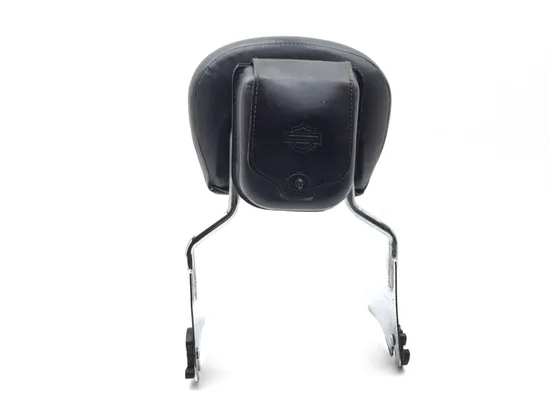 Sissy Bar 1999 Harley-Davidson Road King Classic EFI FLHRCI 3333