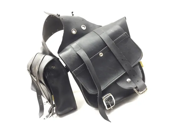 Willie and Max Saddlebags 1997 Harley Sportster 1200 Sport XLH1200S 3345 x