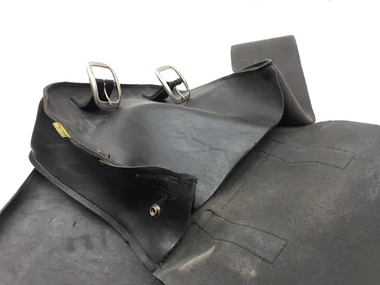 Willie and Max Saddlebags 1997 Harley Sportster 1200 Sport XLH1200S 3345 x