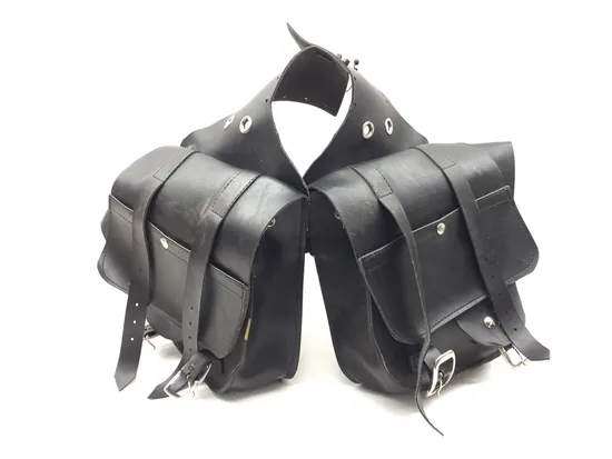 Willie and Max Saddlebags 1997 Harley Sportster 1200 Sport XLH1200S 3345 x