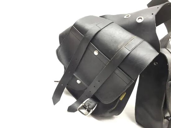 Willie and Max Saddlebags 1997 Harley Sportster 1200 Sport XLH1200S 3345 x