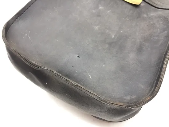 Willie and Max Saddlebags 1997 Harley Sportster 1200 Sport XLH1200S 3345 x