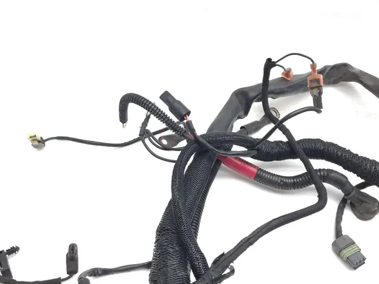 Main Engine Wiring Harness 2000 Harley Sportster 1200 Custom XLH1200C 3346