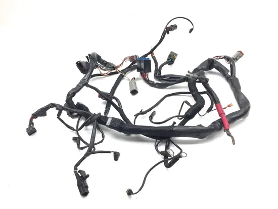 Main Engine Wiring Harness 2000 Harley Sportster 1200 Custom XLH1200C 3346