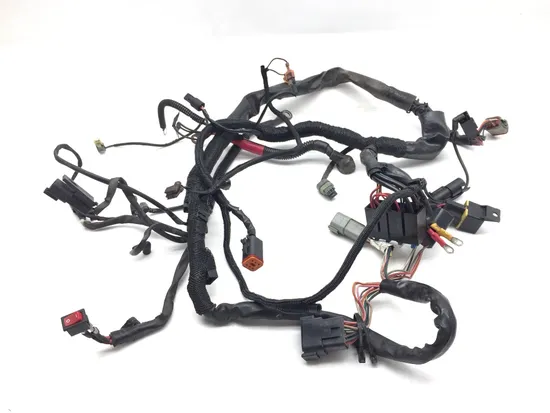 Main Engine Wiring Harness 2000 Harley Sportster 1200 Custom XLH1200C 3346
