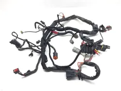 Main Engine Wiring Harness 2000 Harley Sportster 1200 Custom XLH1200C 3346