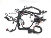 Main Engine Wiring Harness 2000 Harley Sportster 1200 Custom XLH1200C 3346