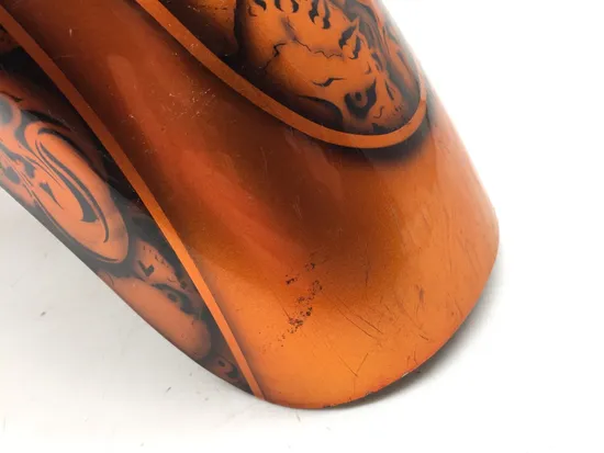 Front Fender Fairing Tire Hugger 2000 Harley Sportster 1200 Custom 3346 x