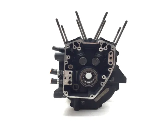 Engine Left Right Center Cases 2001 Harley Electra Ultra Classic FLHTCUI 3343 x