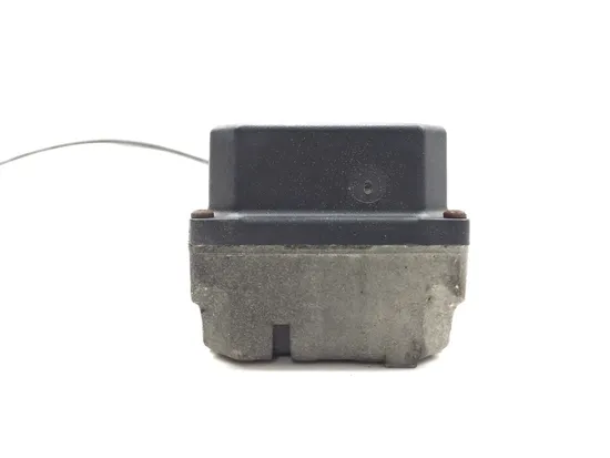 Cruise Control Module 2001 Harley Electra Glide Ultra Classic EFI FLHTCUI 3343