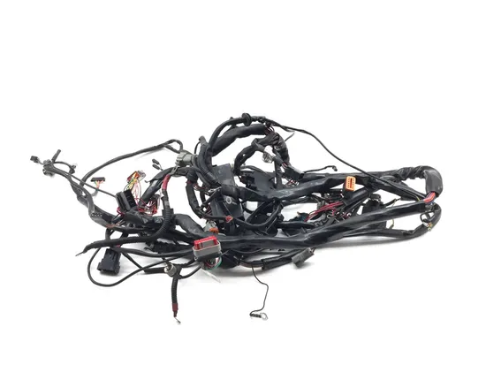 Main Engine Wiring Harness 2001 Harley Electra Ultra Classic EFI FLHTCUI 3343