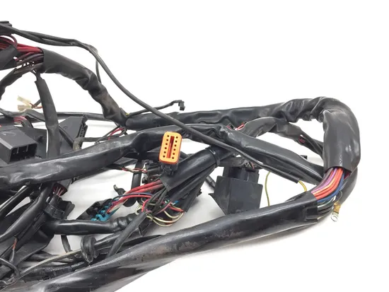 Main Engine Wiring Harness 2001 Harley Electra Ultra Classic EFI FLHTCUI 3343