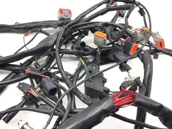 Main Engine Wiring Harness 2001 Harley Electra Ultra Classic EFI FLHTCUI 3343