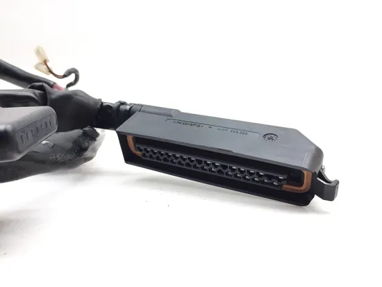 Main Engine Wiring Harness 2001 Harley Electra Ultra Classic EFI FLHTCUI 3343