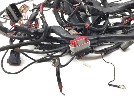 Main Engine Wiring Harness 2001 Harley Electra Ultra Classic EFI FLHTCUI 3343