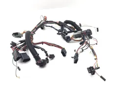 Main Engine Wiring Harness 2001 Harley Electra Ultra Classic EFI FLHTCUI 3343