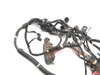Main Engine Wiring Harness 2016 Polaris RZR XP 1000 EPS 3347