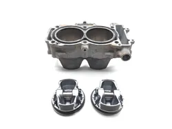 Engine Cylinder Jug W Piston 2016 Polaris RZR XP 1000 EPS 3347