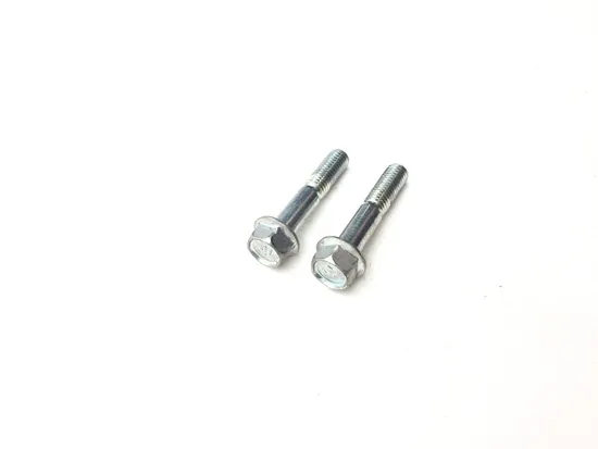 Front Brake Caliper Mounting Bolts 2022 Suzuki DRZ400SM 3190