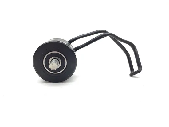 Chain Roller Guide 2022 Suzuki DRZ400SM 3190