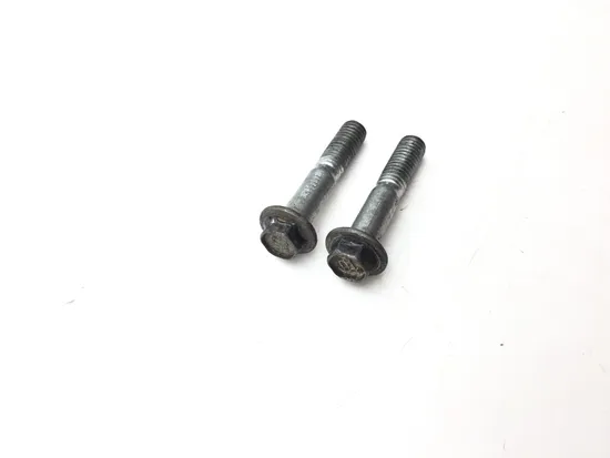 Front Brake Caliper Mounting Bolts 2007 Suzuki RMZ250 3355