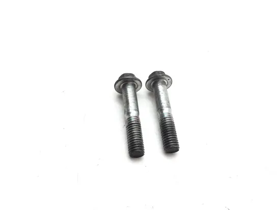 Front Brake Caliper Mounting Bolts 2007 Suzuki RMZ250 3355