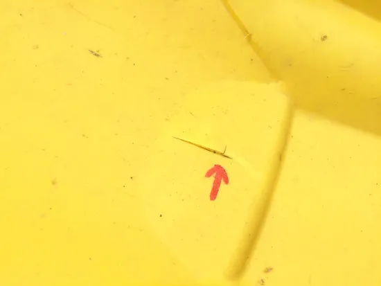 Plastic Kit 2007 Suzuki RMZ250 3355 x